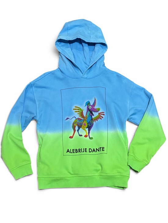Disney Other - Disney Coco Alebrije Dante Hoodie Kids 9 10 Blue Green Ombre Sweater Boys Girls